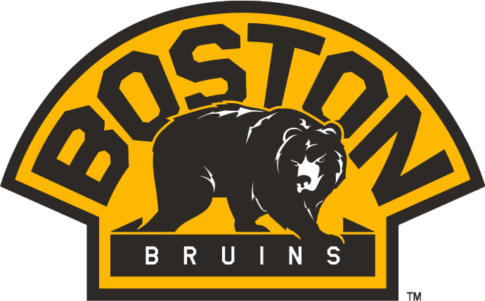 Boston Bruins 2007-Pres Alternate Logo t shirts DIY iron ons
